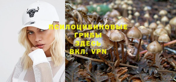 ешки Армянск