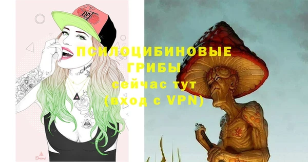 ешки Армянск