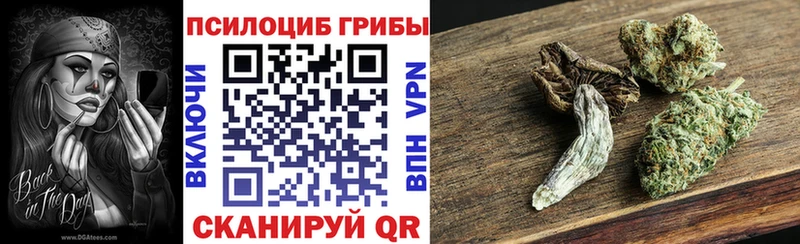 Псилоцибиновые грибы Magic Shrooms  продажа наркотиков  Отрадный 